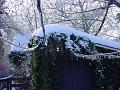 Winter Wonderland 4